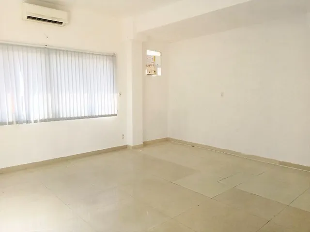Halo Đinh Công Tráng