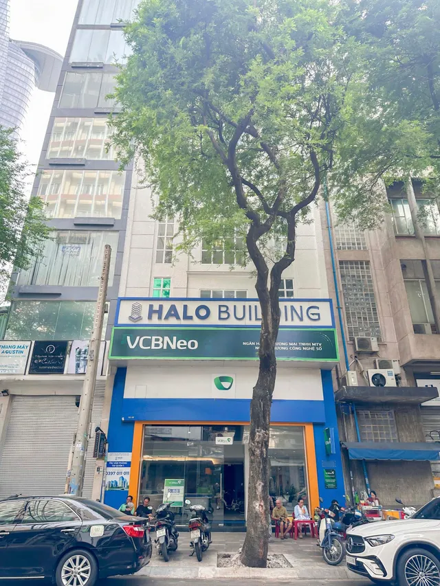 Halo Tôn Thất Đạm