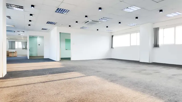 Halo Đinh Bộ Lĩnh