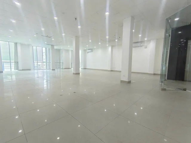 Halo Nguyễn Trung Trực
