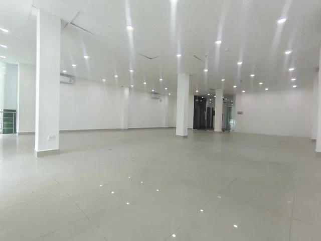 Halo Nguyễn Trung Trực